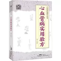 音像心血管病实用验方肖达民 编