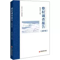 音像整村调查报告(2018)耿明斋 编著