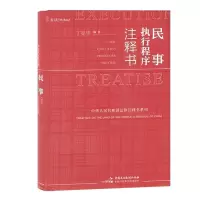 音像民事执行程序注释书丁亮华编