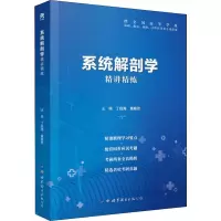 音像系统解剖学精讲精练丁自海,芳 编