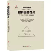 音像被折断的花朵 八个荷兰