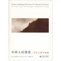 音像中国人的情感 文化心理学阐释(美)吕坤维