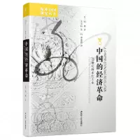 音像中国的经济:20世纪的乡村工业(日)顾琳