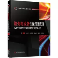 音像输变电设备图像智能识别 X线数字成像检测实战刘荣海