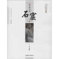 音像中国古代石窟/中国传统民俗文化文化系列王欣