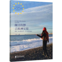 音像做过的梦去欧洲实现:揣着