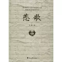 音像悲歌大解