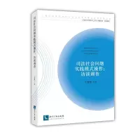 音像司法社会问题实践模式操作:访谈调查王慧博