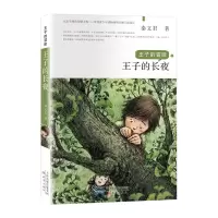 音像王子的冒险子的长夜秦文君/著