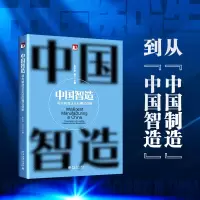 音像中国智造:制造业企业模式创新张志学,马力