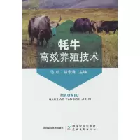 音像牦牛高效养殖技术马毅,包永清