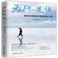 音像无所畏惧(如何实现情绪疗愈和内心平静)蕾雅·盖伊