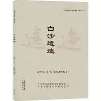 音像白沙遗迹梁炳尧,吕明,史艳群