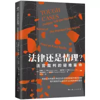 音像法律还是情理?[美]拉塞尔·F. 卡南 等 编著 张玉洁 译