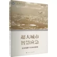 音像超大城市智慧应急孙建平