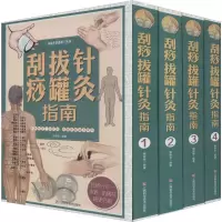 音像刮痧拔罐针灸指南(4册)陶崇华