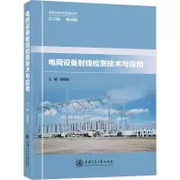 音像电网设备线检测技术与应用骆国防