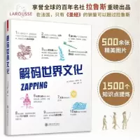 音像解码世界文化[法]伊莎贝尔·富热尔著