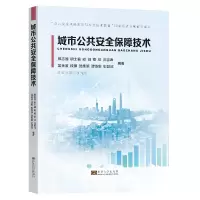 音像城市公共安全保障技术颜志国,等