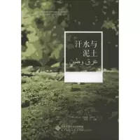 音像汗水与泥土(沙特阿拉伯)阿卜杜·拉赫曼·沙伊尔