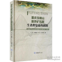 音像重庆玉峰山废弃矿坑群生态修复及再利用马磊等
