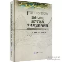 音像重庆玉峰山废弃矿坑群生态修复及再利用马磊等