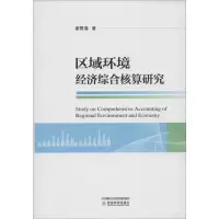音像区域环境经济综合核算研究谢赞春