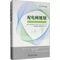 音像配电网规划