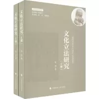 音像文化研究(2册)朱兵