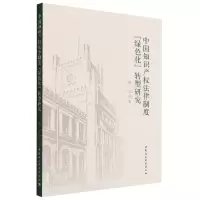 音像中知识权法律制度绿色化转型研究秦倩