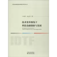音像技术变革视角下科技金融创新与发展王瑶琪,刘志东
