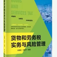 音像货物和劳务税实务与风险管理任保国 刘慧平 著