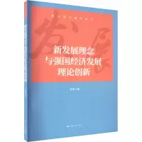 音像新发展理念与强国经济发展理论创新李伟
