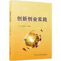 音像创新创业实践温东荣,王海斌