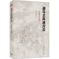 音像胡马北风啸汉关 汉匈战争莲悦