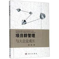 音像项目群管理与大企业成长郭峰 著