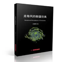 音像龙卷风的数值刘震卿著