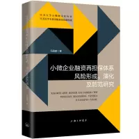 音像小微企业融资再担保体系风险形成、演化及防范研究马国建