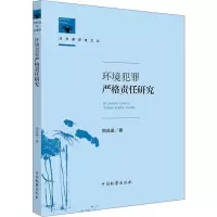 音像环境犯罪严格责任研究周兆进