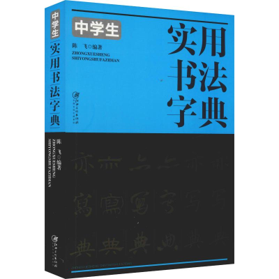 音像中学生实用书法字典陈飞