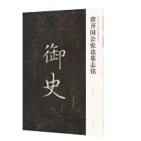 音像近年新出历代碑志精选系列——唐开国公张谂墓志铭不详