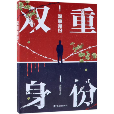 音像双重身份唐陆泽著