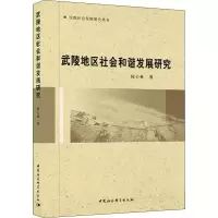 音像武陵地区社会和谐发展研究陈心林