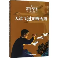 音像天边飞过的野天鹅翌平