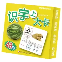 音像学力卡/识字大卡.上云飞扬