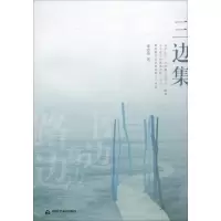 音像三边集金志伟