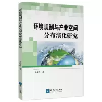 音像环境规制与产业空间分布演化研究关海玲