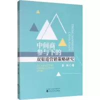 音像中间商参与下的双渠道营销策略研究晏伟
