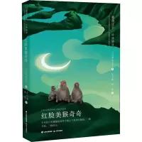 音像红脸美猴奇奇(日)那须正干