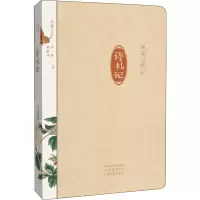 音像诗札记张新颖
